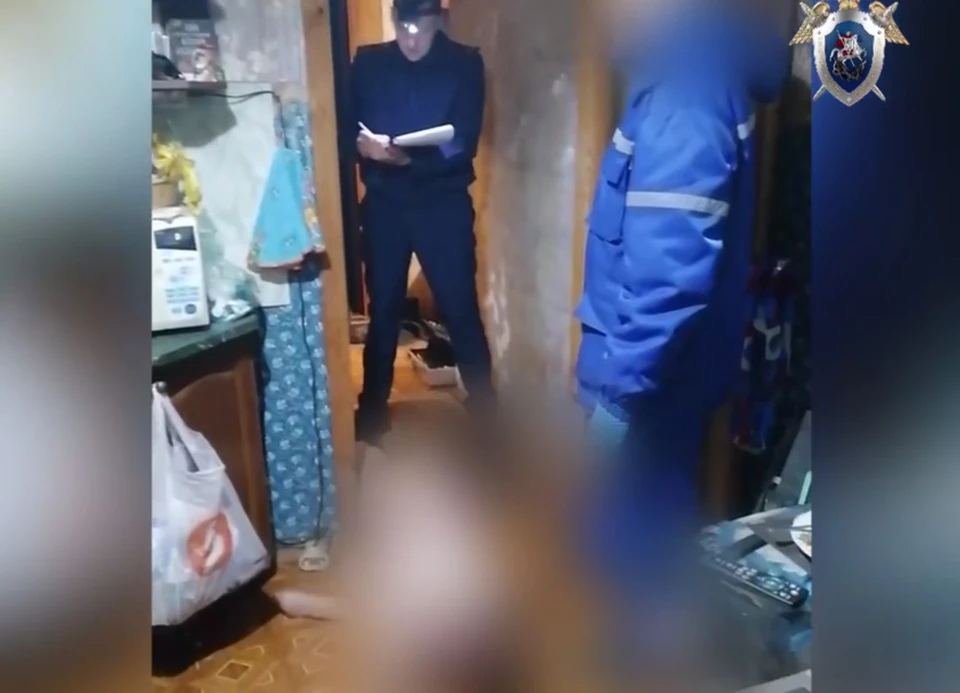 Нижегородца, избившего до смерти свою мать, отправили под суд.
