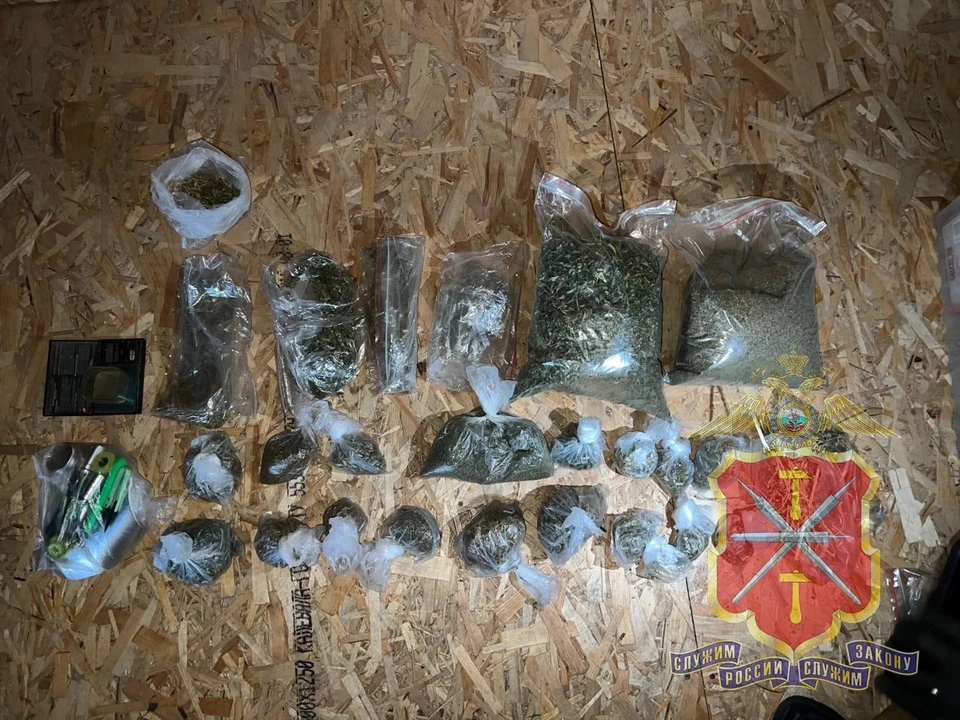 В Алексинском районе задержали мужчину за выращивание марихуаны в сарае.