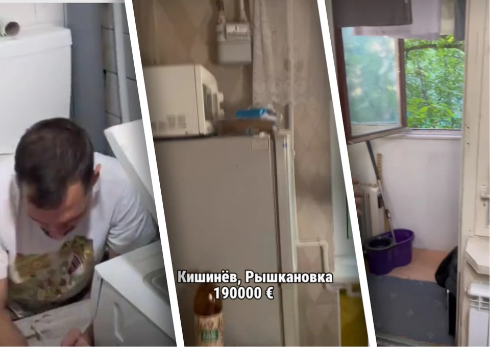 Хрущевка за 190 тысяч евро с микроволновкой, холодильником, видом на дерево и каким-то мужиком в туалете. Фото: коллаж КП