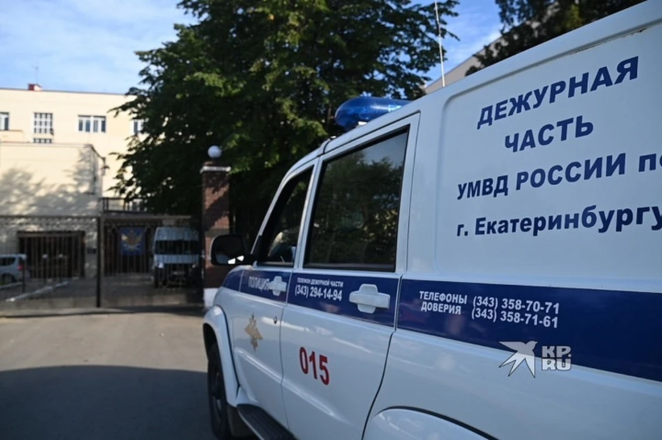 Банду молодых людей отправили в СИЗО