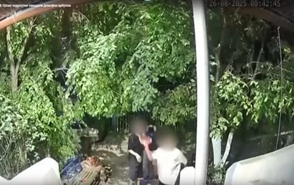 Двое из них не впервые попадают в поле зрения полицейских