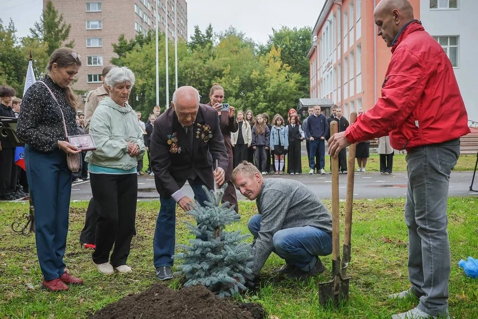 В Саду памяти школы Рыбинска высадили еще одну голубую ель.