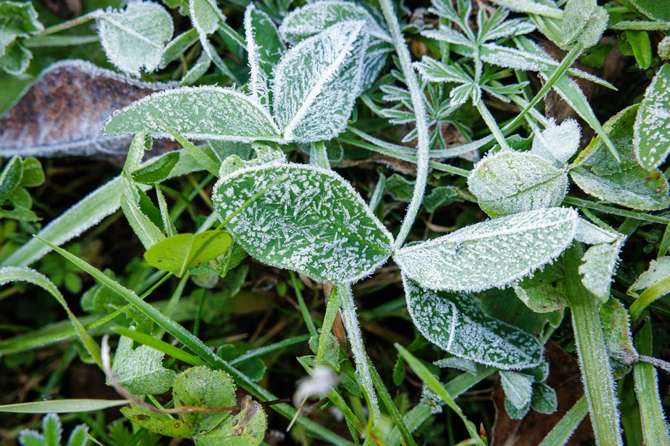 В центральных районах Якутии ожидаются первые осенние заморозки