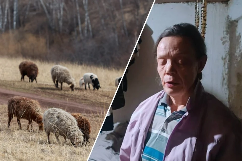 Множеством заболеваний обернулась 12-летняя работа на кошаре. Фото: Ленц Мария/движение «Альтернатива»