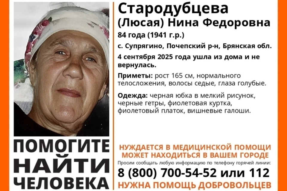 Фото: поисковый ортяд "Лиза Алерт, ВКонтакте.