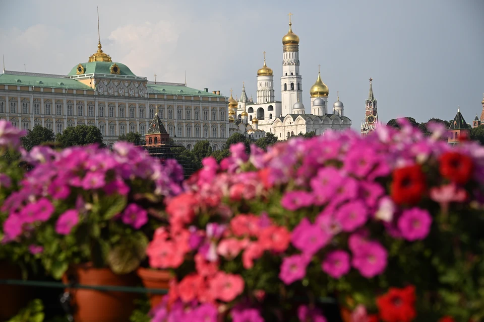 Handelsblatt: переговоры с Зеленским в Москве укрепили бы позиции РФ