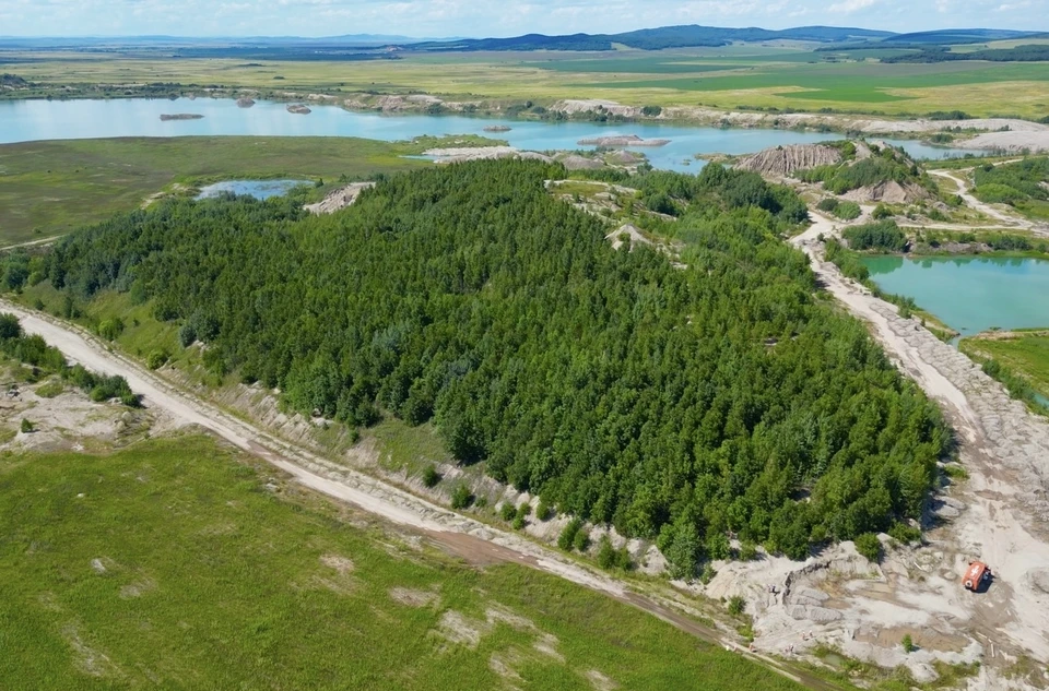 Леса на месте разрезов. Фото: Станислав Кутовой
