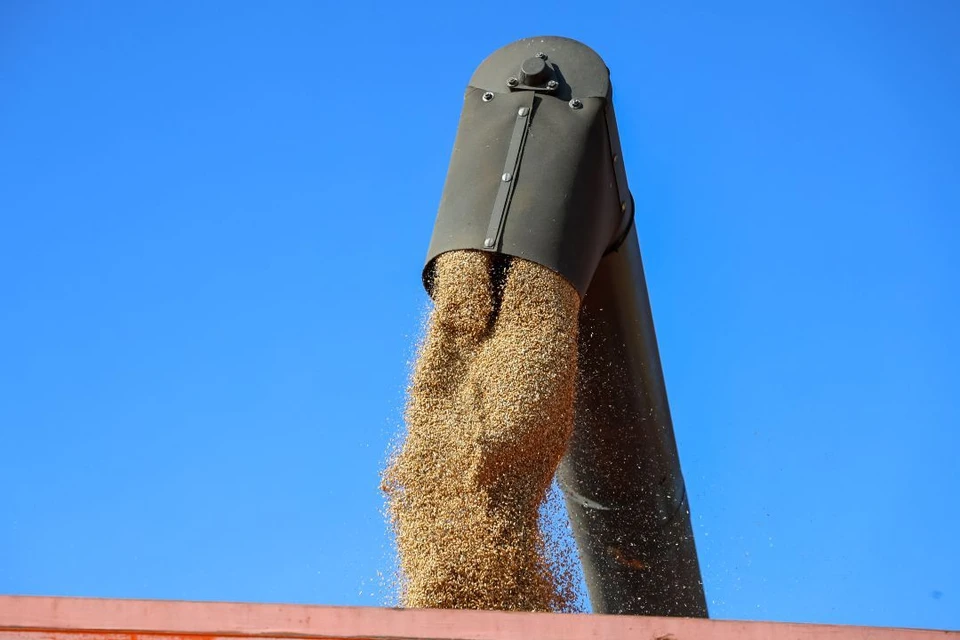 Минсельхоз региона сообщил о 30% убранных площадей и начале обмолота технических культур