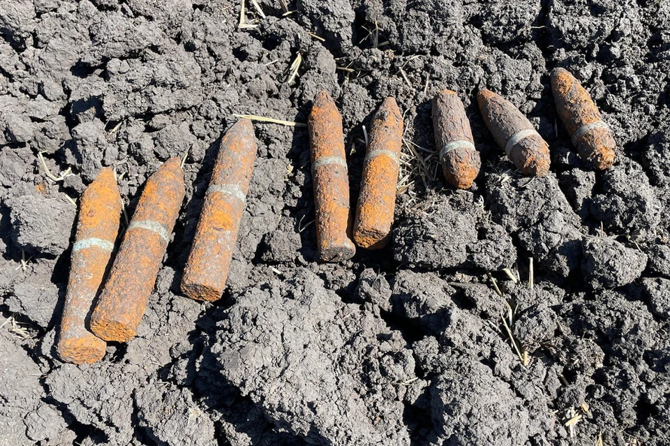 Фото: пресс-служба Главного управления Росгвардии по Краснодарскому краю