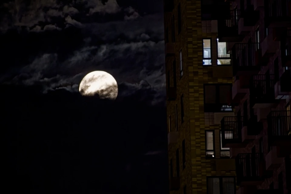 Организатором выступил Роскосмос при поддержке гильдии «Рубежи науки».