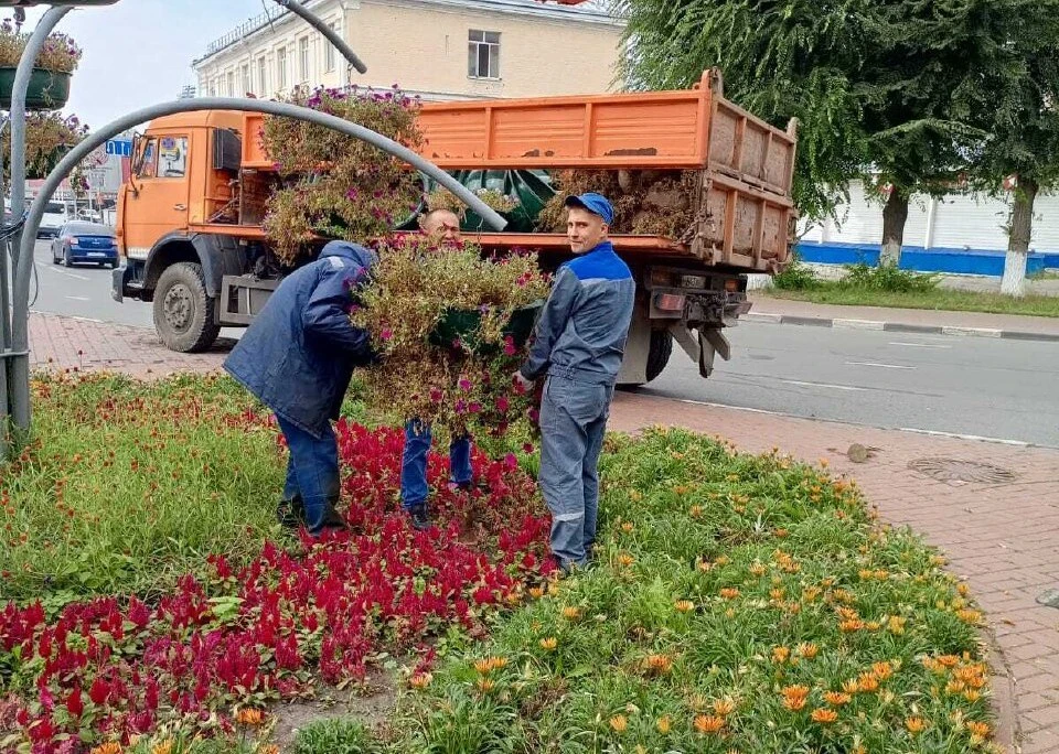 С трёх ульяновских улиц сняли вазоны с цветами. ФОТО: тг-канал Центра по благоустройству и озеленению Ульяновска