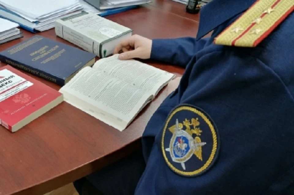Благодаря профессиональной работе следователей-криминалистов удалось установить личность причастного к преступлению. Фото: СК РФ по ДНР