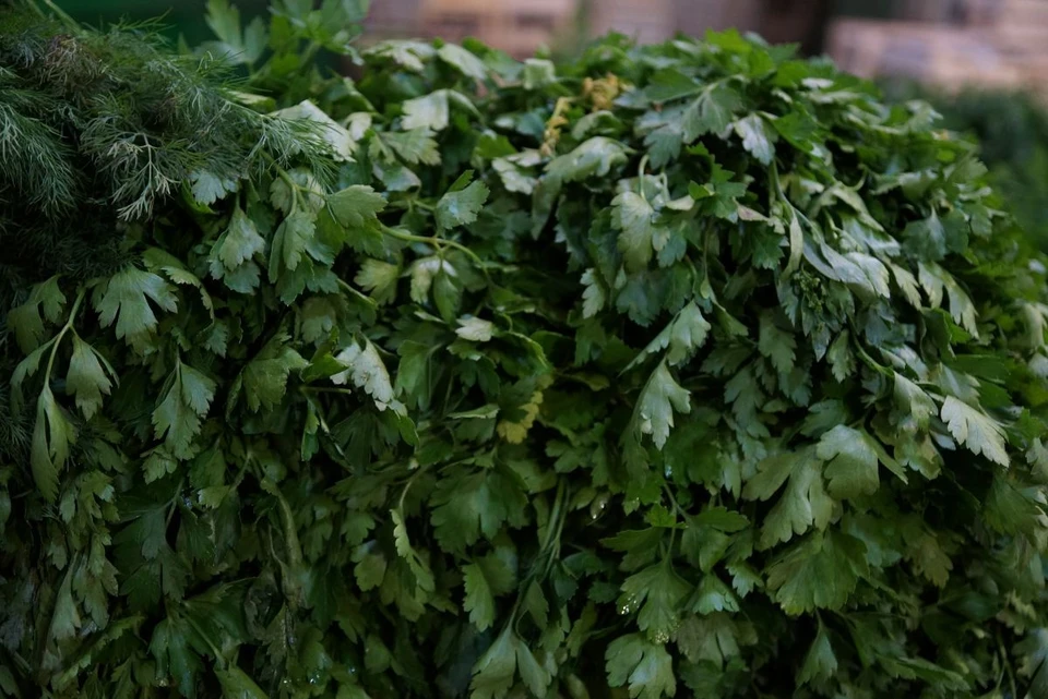 Петрушку обеззаразили химическим методом