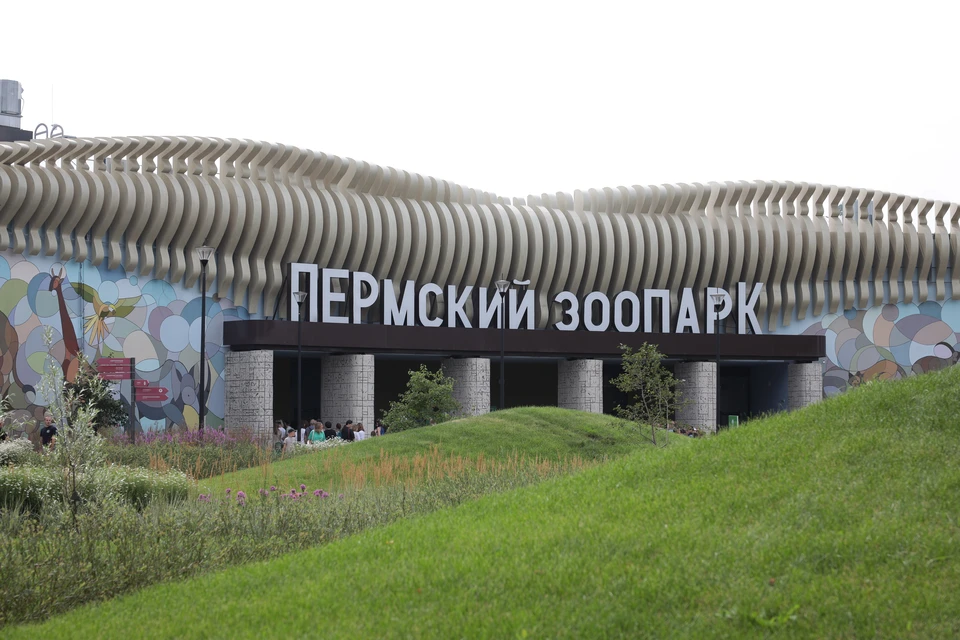 Пермский зоопарк оштрафован за нарушения в обращении с животными