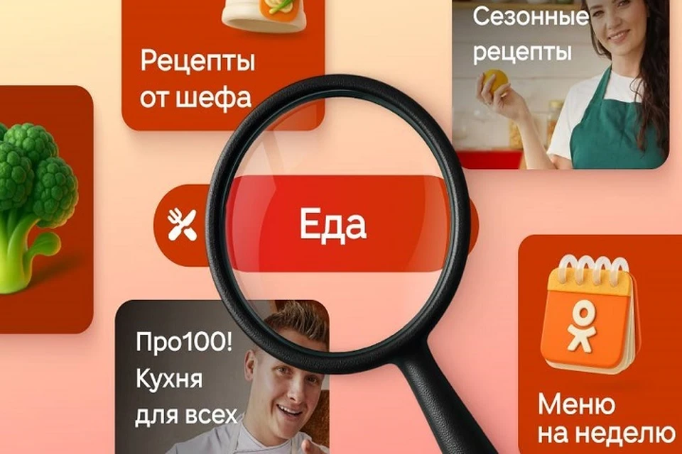 В новом разделе задействовано свыше 300 авторов-экспертов, признанных в своих областях