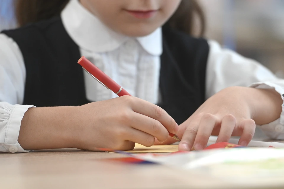 Информация о минировании школ в Предгорном округе Ставрополья оказалась ложной