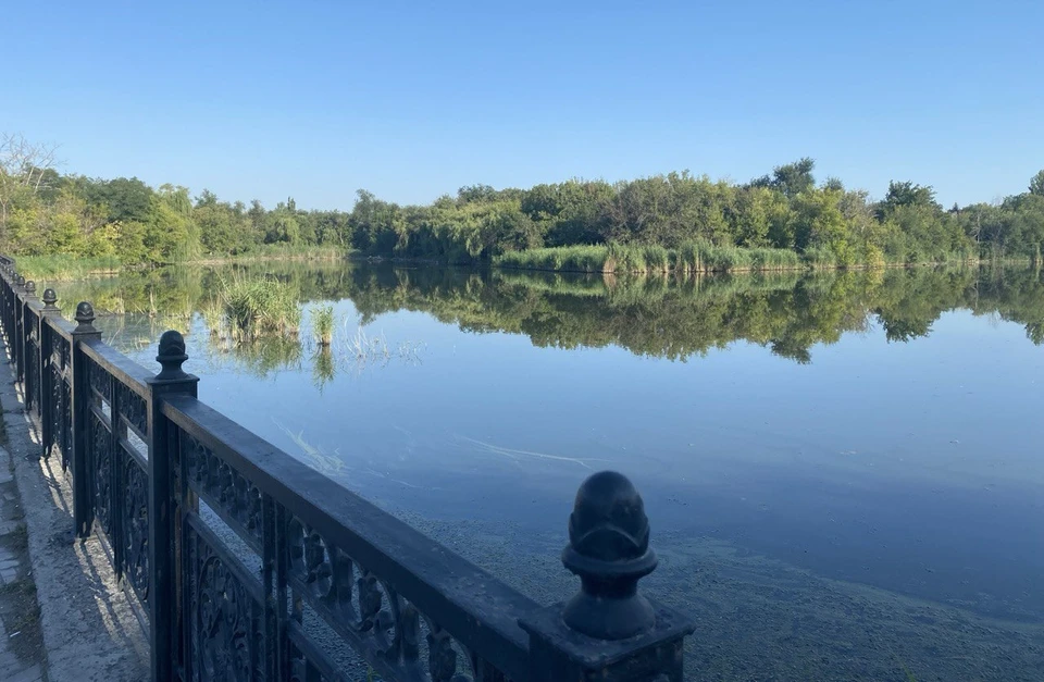 Ветковский ставок активно очищают от мусора и ила