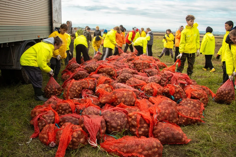 Фото: admkrsk.ru