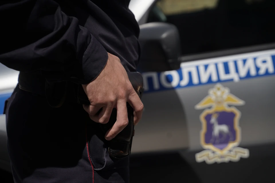 Полиции предстоит разобраться с вопиющим случаем в центре Ростова.