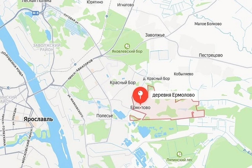 Людям приходится подолгу ждать автобус на конечной остановке. Фото: телеграм-канал Жесть Ярославль.