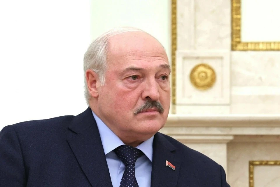 В Белоруссии снова назрела проблема с картофелем: Лукашенко предложил «военный» метод решения