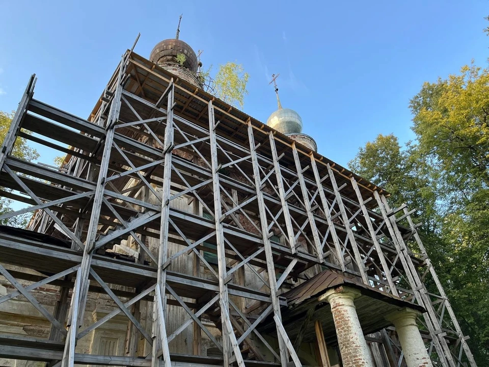 Фото: Иван Крылов, Консервация