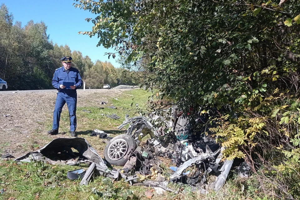 Все, что осталось от пострадавшей иномарки. Фото: прокуратура Амурской области