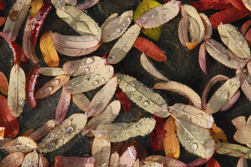 Погода изменится с приходом дождей