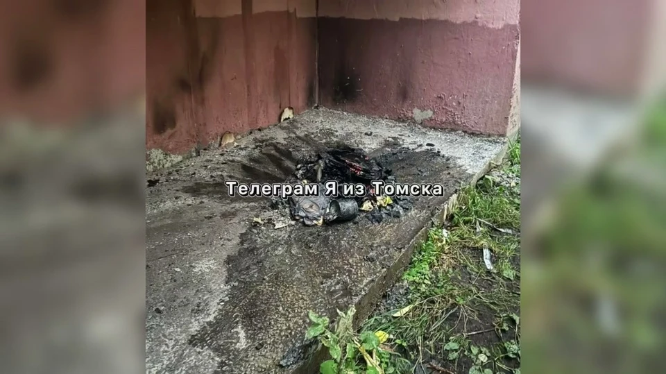 Фото: t.me/tomsk_news70