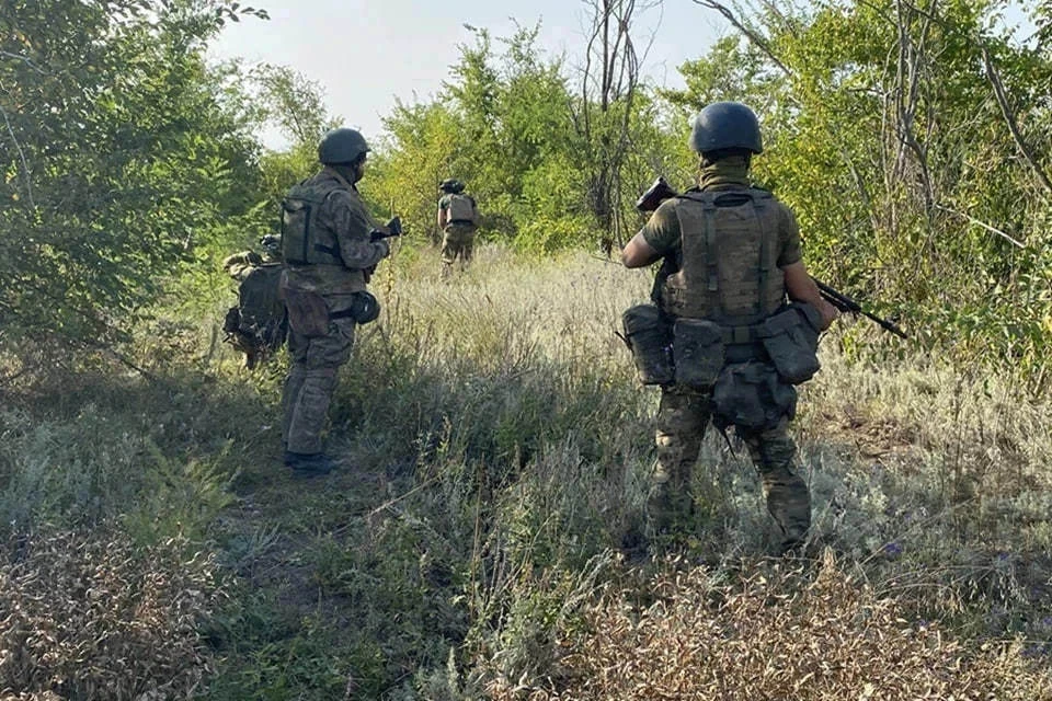 Вооруженные силы РФ освободили населенный пункт Шандриголово в ДНР (архивное фото)