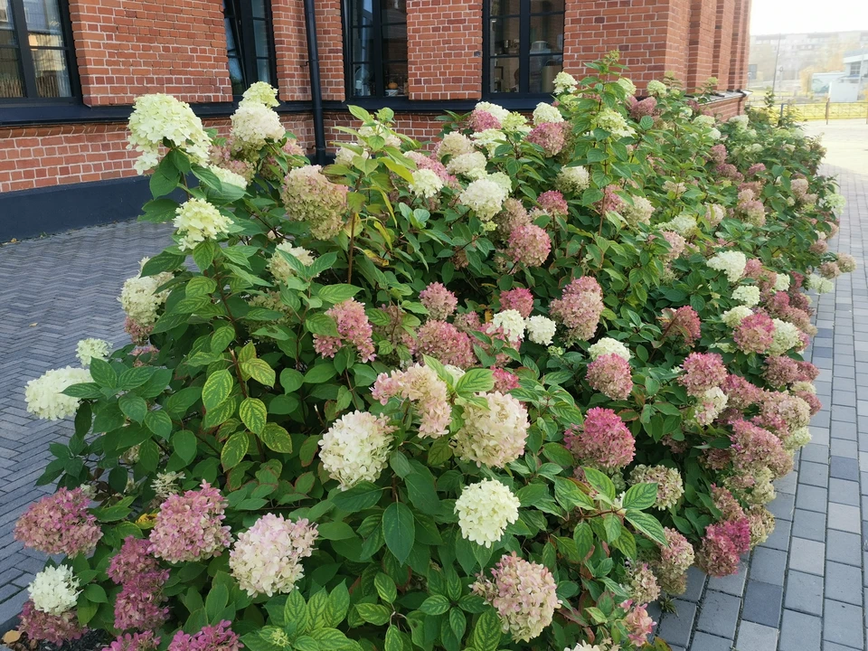 Фото: Людмила Ковалева