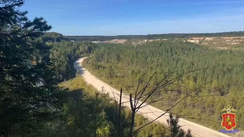 скрин с видео УМВД по Владимирской области
