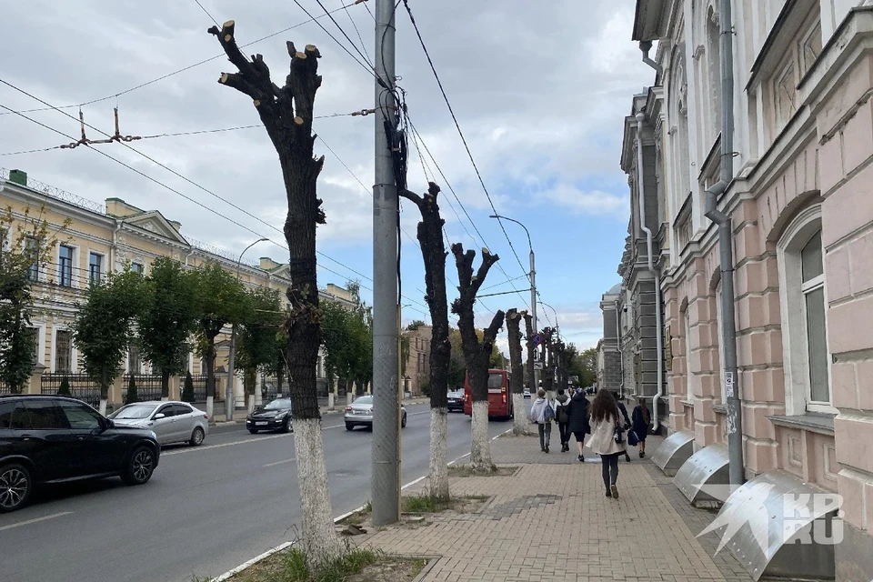 Жесткую обрезку деревьев у здания правительства в Рязани объяснила мэрия.