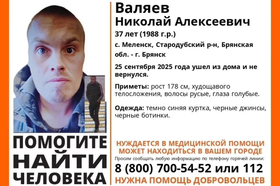 Фото: поисковый отряд "Лиза Алерт", ВКонтакте.