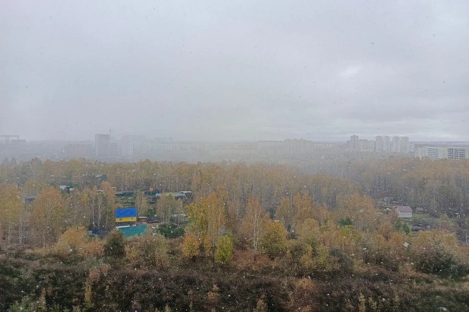 В Новосибирске 3 октября прошел снегопад. Фото: предоставлено КП-Новосибирск
