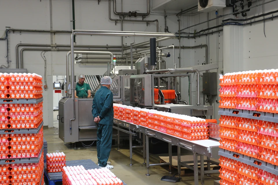 Мощности предприятия позволяют перерабатывать значительные объемы сырья.