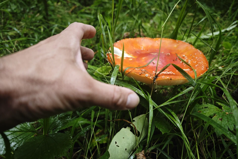 Женщину нашли невредимой.