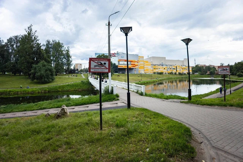 Фото: Александр Новиков, ТГ.
