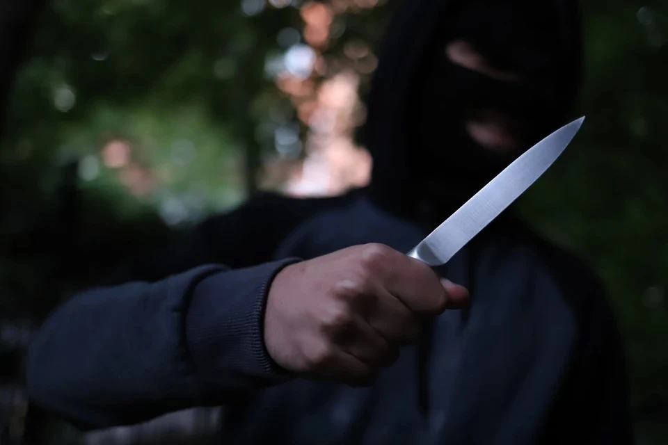 Двое мужчин задержаны за вооруженное нападение на знакомого на севере Москвы