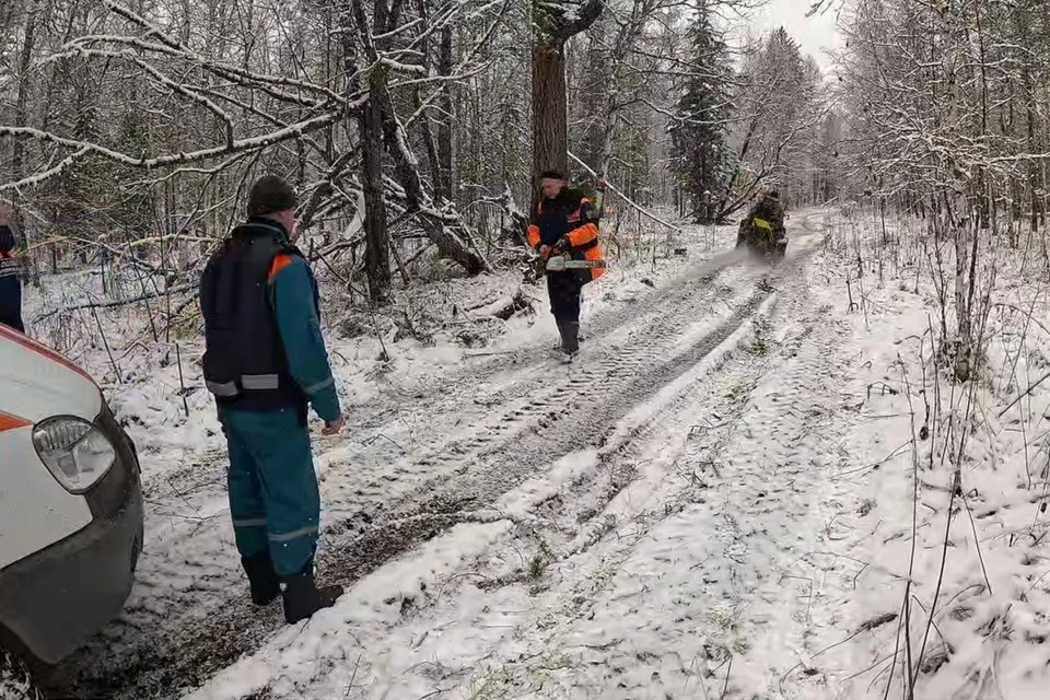 В районе поисков уже выпал снег. Фото: МЧС