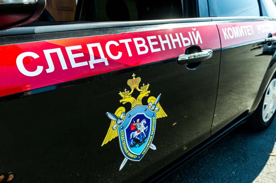 СК проводит проверку.
