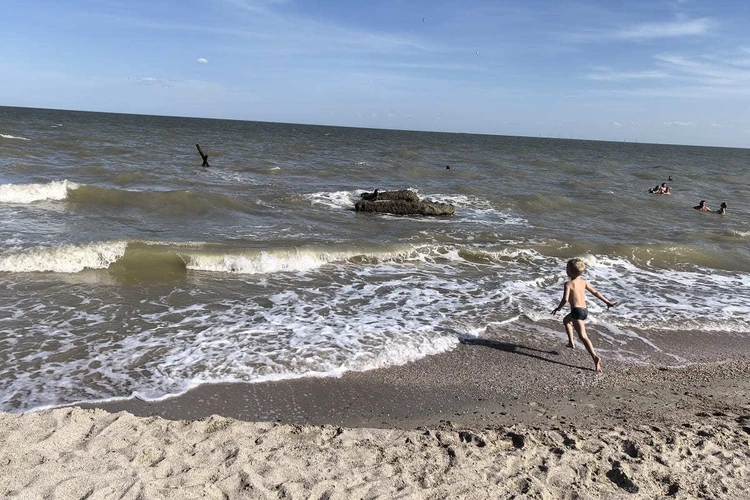 Прогноз сбывается: Соленость Азовского моря побила все рекорды. Что говорят ученые?