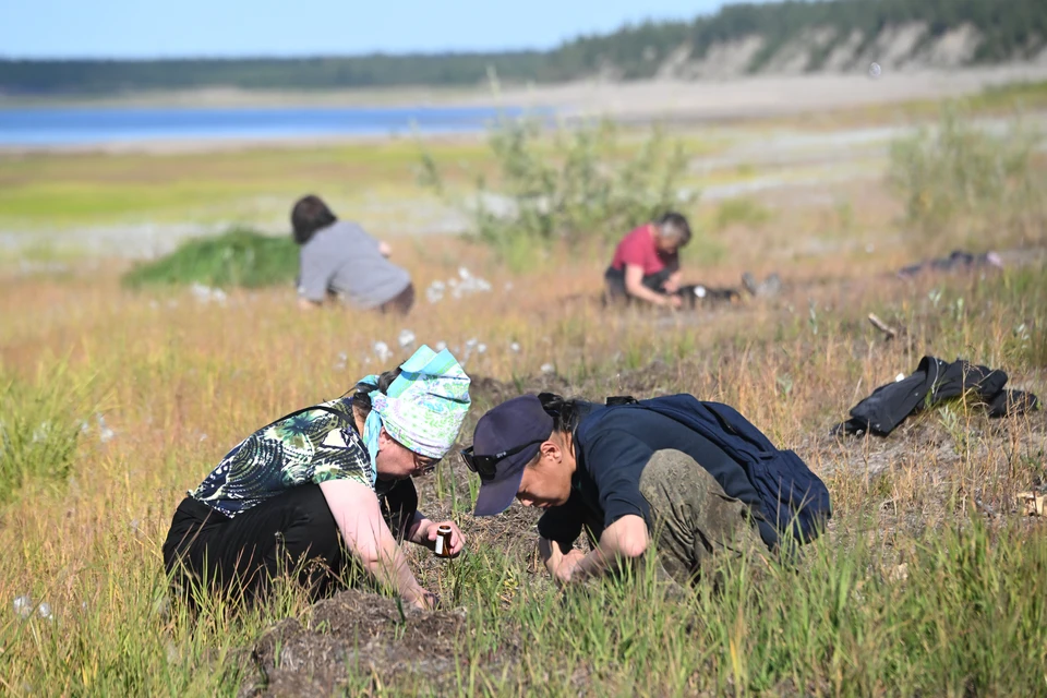 Второе место в рейтинге занимает Менделеевский район с площадью 744 квадратных километра.