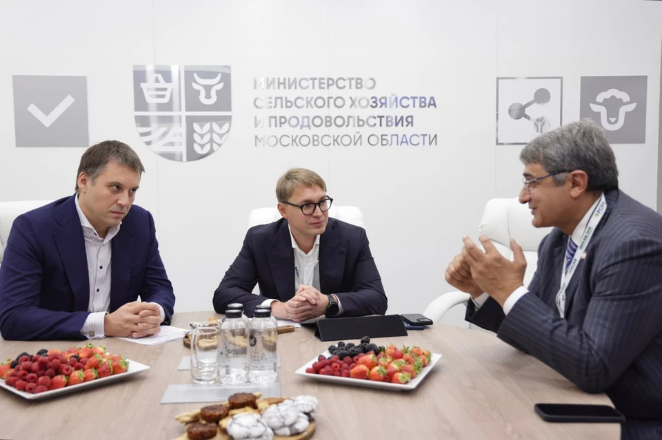 Фото: пресс-служба губернатора и правительства Московской области