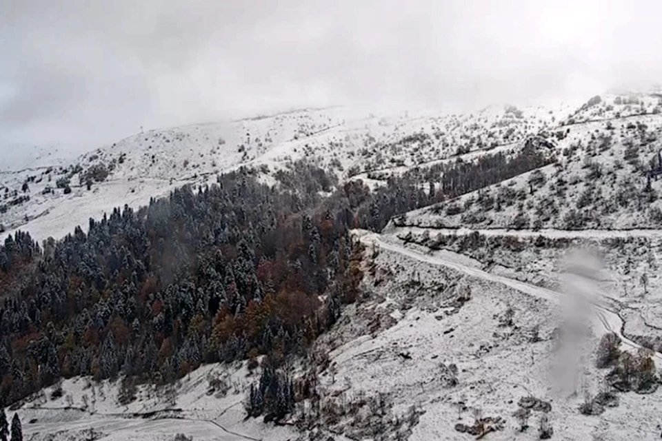 Горы Сочи припорошило снегом. Фото: скриншот видео с камер