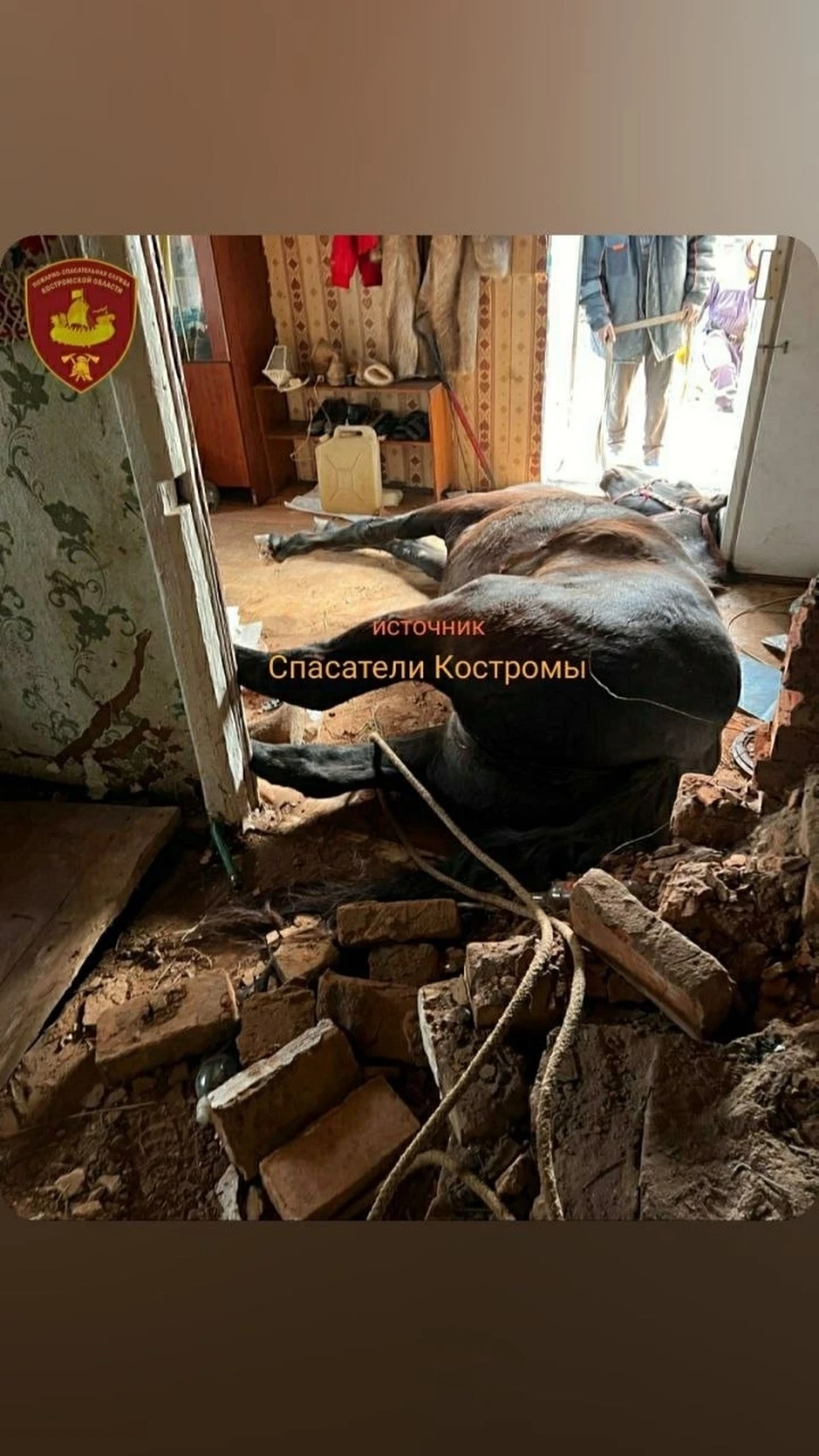 Источник: пожарно-спасательная служба Костромской области