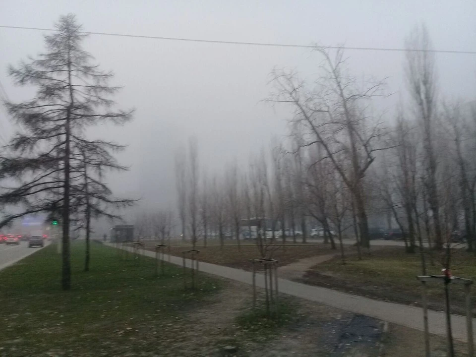 Дорога стала мокрой и скользкой, а видимость - почти нулевой.