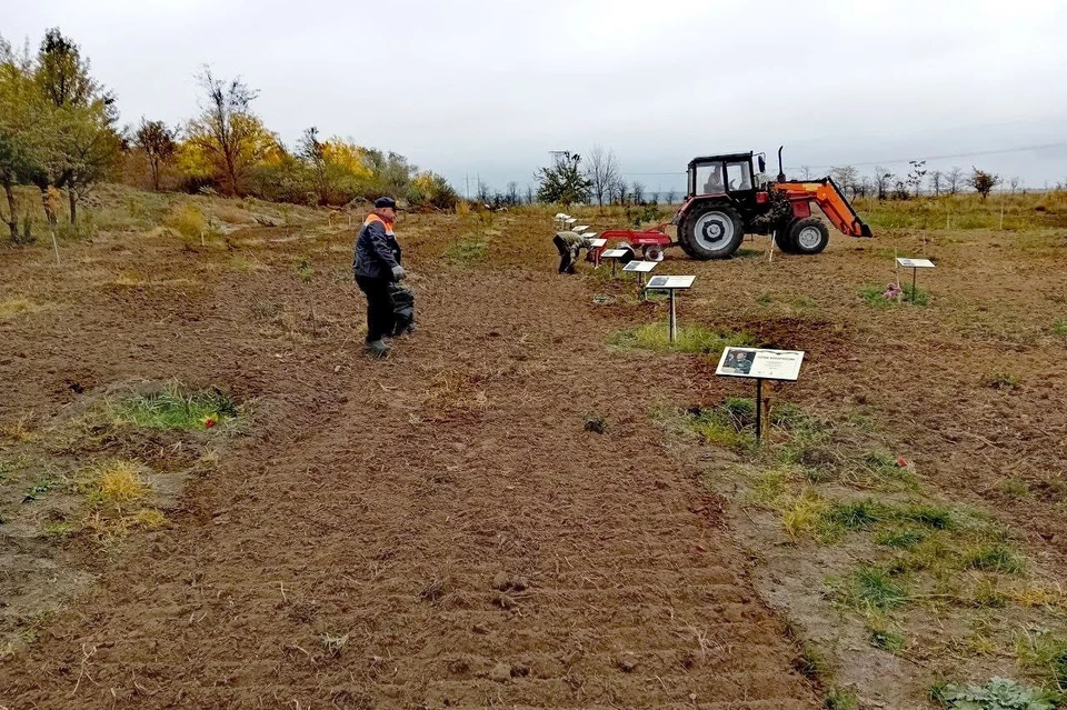 Уборка проводится на регулярной основе. ФОТО: Администрация Мелитополя.