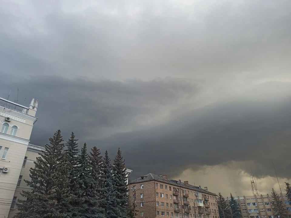 Тульскую область накрыла серо-дождливая неделя с порывистыми ветрами.