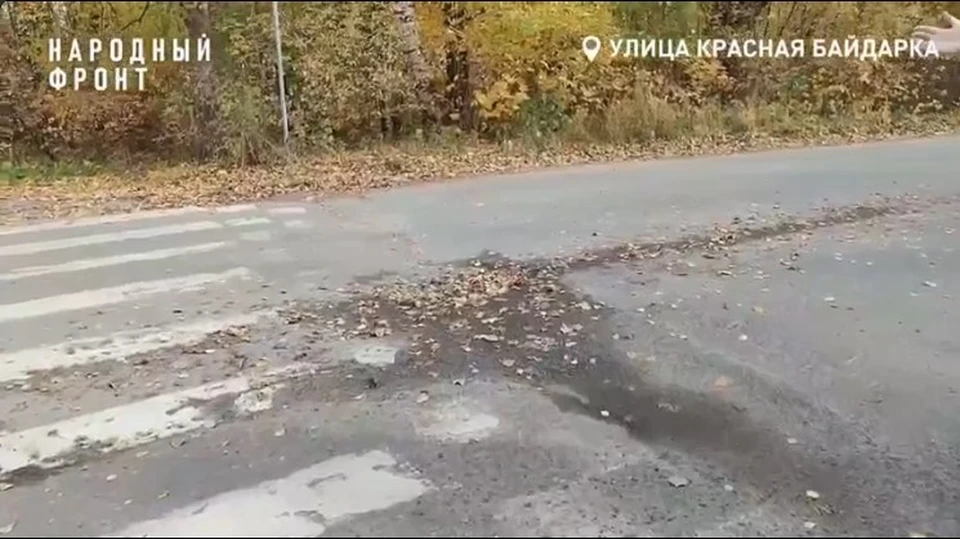 Фото: Народный фронт Костромская область
